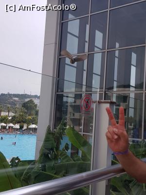 [P02] TERASA BAR LOBY » foto by hanibalbogdan
 - 
<span class="allrVoted glyphicon glyphicon-heart hidden" id="av1020484"></span>
<a class="m-l-10 hidden" id="sv1020484" onclick="voting_Foto_DelVot(,1020484,226)" role="button">șterge vot <span class="glyphicon glyphicon-remove"></span></a>
<a id="v91020484" class=" c-red"  onclick="voting_Foto_SetVot(1020484)" role="button"><span class="glyphicon glyphicon-heart-empty"></span> <b>LIKE</b> = Votează poza</a> <img class="hidden"  id="f1020484W9" src="/imagini/loader.gif" border="0" /><span class="AjErrMes hidden" id="e1020484ErM"></span>