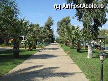 [P08] in gradina » foto by gcorneille*
 - 
<span class="allrVoted glyphicon glyphicon-heart hidden" id="av36046"></span>
<a class="m-l-10 hidden" id="sv36046" onclick="voting_Foto_DelVot(,36046,226)" role="button">șterge vot <span class="glyphicon glyphicon-remove"></span></a>
<a id="v936046" class=" c-red"  onclick="voting_Foto_SetVot(36046)" role="button"><span class="glyphicon glyphicon-heart-empty"></span> <b>LIKE</b> = Votează poza</a> <img class="hidden"  id="f36046W9" src="/imagini/loader.gif" border="0" /><span class="AjErrMes hidden" id="e36046ErM"></span>