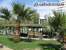 [P09] fumoar (? ) » foto by gcorneille*
 - 
<span class="allrVoted glyphicon glyphicon-heart hidden" id="av36047"></span>
<a class="m-l-10 hidden" id="sv36047" onclick="voting_Foto_DelVot(,36047,226)" role="button">șterge vot <span class="glyphicon glyphicon-remove"></span></a>
<a id="v936047" class=" c-red"  onclick="voting_Foto_SetVot(36047)" role="button"><span class="glyphicon glyphicon-heart-empty"></span> <b>LIKE</b> = Votează poza</a> <img class="hidden"  id="f36047W9" src="/imagini/loader.gif" border="0" /><span class="AjErrMes hidden" id="e36047ErM"></span>