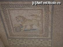 [P14] Efes » foto by cristiancosminm
 - 
<span class="allrVoted glyphicon glyphicon-heart hidden" id="av116615"></span>
<a class="m-l-10 hidden" id="sv116615" onclick="voting_Foto_DelVot(,116615,226)" role="button">șterge vot <span class="glyphicon glyphicon-remove"></span></a>
<a id="v9116615" class=" c-red"  onclick="voting_Foto_SetVot(116615)" role="button"><span class="glyphicon glyphicon-heart-empty"></span> <b>LIKE</b> = Votează poza</a> <img class="hidden"  id="f116615W9" src="/imagini/loader.gif" border="0" /><span class="AjErrMes hidden" id="e116615ErM"></span>