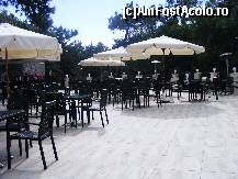 [P45] Rixos Premium Bodrum » foto by Cris
 - 
<span class="allrVoted glyphicon glyphicon-heart hidden" id="av203430"></span>
<a class="m-l-10 hidden" id="sv203430" onclick="voting_Foto_DelVot(,203430,233)" role="button">șterge vot <span class="glyphicon glyphicon-remove"></span></a>
<a id="v9203430" class=" c-red"  onclick="voting_Foto_SetVot(203430)" role="button"><span class="glyphicon glyphicon-heart-empty"></span> <b>LIKE</b> = Votează poza</a> <img class="hidden"  id="f203430W9" src="/imagini/loader.gif" border="0" /><span class="AjErrMes hidden" id="e203430ErM"></span>