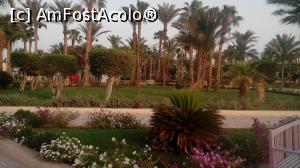 [P16] Pana sa ajungem la plaja, traversam, o frumoasa gradina » foto by dorgo
 - 
<span class="allrVoted glyphicon glyphicon-heart hidden" id="av1072441"></span>
<a class="m-l-10 hidden" id="sv1072441" onclick="voting_Foto_DelVot(,1072441,24)" role="button">șterge vot <span class="glyphicon glyphicon-remove"></span></a>
<a id="v91072441" class=" c-red"  onclick="voting_Foto_SetVot(1072441)" role="button"><span class="glyphicon glyphicon-heart-empty"></span> <b>LIKE</b> = Votează poza</a> <img class="hidden"  id="f1072441W9" src="/imagini/loader.gif" border="0" /><span class="AjErrMes hidden" id="e1072441ErM"></span>