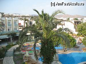 [P24] ROYAL PALM AREA - curtea și piscina » foto by nicole33
 - 
<span class="allrVoted glyphicon glyphicon-heart hidden" id="av345514"></span>
<a class="m-l-10 hidden" id="sv345514" onclick="voting_Foto_DelVot(,345514,246)" role="button">șterge vot <span class="glyphicon glyphicon-remove"></span></a>
<a id="v9345514" class=" c-red"  onclick="voting_Foto_SetVot(345514)" role="button"><span class="glyphicon glyphicon-heart-empty"></span> <b>LIKE</b> = Votează poza</a> <img class="hidden"  id="f345514W9" src="/imagini/loader.gif" border="0" /><span class="AjErrMes hidden" id="e345514ErM"></span>