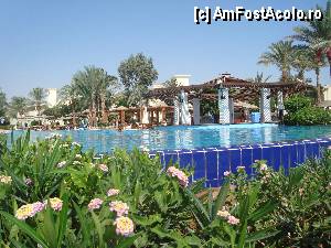 [P06]  -- <small>// FĂRĂ DESCRIERE</small> » foto by sorin61
 - 
<span class="allrVoted glyphicon glyphicon-heart hidden" id="av387213"></span>
<a class="m-l-10 hidden" id="sv387213" onclick="voting_Foto_DelVot(,387213,25)" role="button">șterge vot <span class="glyphicon glyphicon-remove"></span></a>
<a id="v9387213" class=" c-red"  onclick="voting_Foto_SetVot(387213)" role="button"><span class="glyphicon glyphicon-heart-empty"></span> <b>LIKE</b> = Votează poza</a> <img class="hidden"  id="f387213W9" src="/imagini/loader.gif" border="0" /><span class="AjErrMes hidden" id="e387213ErM"></span>