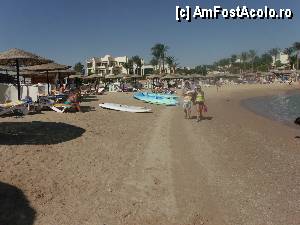 [P14]  -- <small>// FĂRĂ DESCRIERE</small> » foto by mariuscfar
 - 
<span class="allrVoted glyphicon glyphicon-heart hidden" id="av371491"></span>
<a class="m-l-10 hidden" id="sv371491" onclick="voting_Foto_DelVot(,371491,25)" role="button">șterge vot <span class="glyphicon glyphicon-remove"></span></a>
<a id="v9371491" class=" c-red"  onclick="voting_Foto_SetVot(371491)" role="button"><span class="glyphicon glyphicon-heart-empty"></span> <b>LIKE</b> = Votează poza</a> <img class="hidden"  id="f371491W9" src="/imagini/loader.gif" border="0" /><span class="AjErrMes hidden" id="e371491ErM"></span>