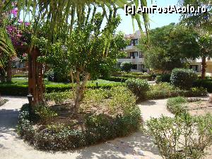 [P38]  -- <small>// FĂRĂ DESCRIERE</small> » foto by mariuscfar
 - 
<span class="allrVoted glyphicon glyphicon-heart hidden" id="av371517"></span>
<a class="m-l-10 hidden" id="sv371517" onclick="voting_Foto_DelVot(,371517,25)" role="button">șterge vot <span class="glyphicon glyphicon-remove"></span></a>
<a id="v9371517" class=" c-red"  onclick="voting_Foto_SetVot(371517)" role="button"><span class="glyphicon glyphicon-heart-empty"></span> <b>LIKE</b> = Votează poza</a> <img class="hidden"  id="f371517W9" src="/imagini/loader.gif" border="0" /><span class="AjErrMes hidden" id="e371517ErM"></span>