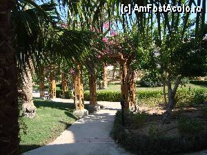 [P48]  -- <small>// FĂRĂ DESCRIERE</small> » foto by mariuscfar
 - 
<span class="allrVoted glyphicon glyphicon-heart hidden" id="av371531"></span>
<a class="m-l-10 hidden" id="sv371531" onclick="voting_Foto_DelVot(,371531,25)" role="button">șterge vot <span class="glyphicon glyphicon-remove"></span></a>
<a id="v9371531" class=" c-red"  onclick="voting_Foto_SetVot(371531)" role="button"><span class="glyphicon glyphicon-heart-empty"></span> <b>LIKE</b> = Votează poza</a> <img class="hidden"  id="f371531W9" src="/imagini/loader.gif" border="0" /><span class="AjErrMes hidden" id="e371531ErM"></span>