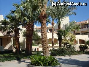 [P52]  -- <small>// FĂRĂ DESCRIERE</small> » foto by mariuscfar
 - 
<span class="allrVoted glyphicon glyphicon-heart hidden" id="av371536"></span>
<a class="m-l-10 hidden" id="sv371536" onclick="voting_Foto_DelVot(,371536,25)" role="button">șterge vot <span class="glyphicon glyphicon-remove"></span></a>
<a id="v9371536" class=" c-red"  onclick="voting_Foto_SetVot(371536)" role="button"><span class="glyphicon glyphicon-heart-empty"></span> <b>LIKE</b> = Votează poza</a> <img class="hidden"  id="f371536W9" src="/imagini/loader.gif" border="0" /><span class="AjErrMes hidden" id="e371536ErM"></span>