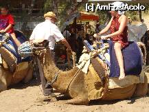 [P11] Bineinteles, camile la.....Camel Beach....de aici ii vine numele » foto by alinviola
 - 
<span class="allrVoted glyphicon glyphicon-heart hidden" id="av2815"></span>
<a class="m-l-10 hidden" id="sv2815" onclick="voting_Foto_DelVot(,2815,258)" role="button">șterge vot <span class="glyphicon glyphicon-remove"></span></a>
<a id="v92815" class=" c-red"  onclick="voting_Foto_SetVot(2815)" role="button"><span class="glyphicon glyphicon-heart-empty"></span> <b>LIKE</b> = Votează poza</a> <img class="hidden"  id="f2815W9" src="/imagini/loader.gif" border="0" /><span class="AjErrMes hidden" id="e2815ErM"></span>