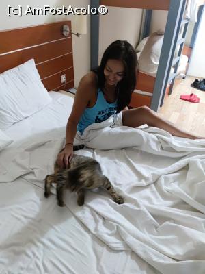 [P03] Vizitator nocturn la 2 noaptea, daca era geamu deschis » foto by cosmin radu
 - 
<span class="allrVoted glyphicon glyphicon-heart hidden" id="av1262500"></span>
<a class="m-l-10 hidden" id="sv1262500" onclick="voting_Foto_DelVot(,1262500,260)" role="button">șterge vot <span class="glyphicon glyphicon-remove"></span></a>
<a id="v91262500" class=" c-red"  onclick="voting_Foto_SetVot(1262500)" role="button"><span class="glyphicon glyphicon-heart-empty"></span> <b>LIKE</b> = Votează poza</a> <img class="hidden"  id="f1262500W9" src="/imagini/loader.gif" border="0" /><span class="AjErrMes hidden" id="e1262500ErM"></span>