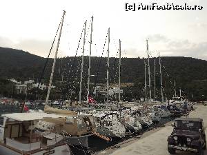[P04] Barci in portul Torba » foto by felixon
 - 
<span class="allrVoted glyphicon glyphicon-heart hidden" id="av521174"></span>
<a class="m-l-10 hidden" id="sv521174" onclick="voting_Foto_DelVot(,521174,262)" role="button">șterge vot <span class="glyphicon glyphicon-remove"></span></a>
<a id="v9521174" class=" c-red"  onclick="voting_Foto_SetVot(521174)" role="button"><span class="glyphicon glyphicon-heart-empty"></span> <b>LIKE</b> = Votează poza</a> <img class="hidden"  id="f521174W9" src="/imagini/loader.gif" border="0" /><span class="AjErrMes hidden" id="e521174ErM"></span>