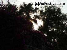[P14]  -- <small>// FĂRĂ DESCRIERE</small> » foto by conana
 - 
<span class="allrVoted glyphicon glyphicon-heart hidden" id="av212465"></span>
<a class="m-l-10 hidden" id="sv212465" onclick="voting_Foto_DelVot(,212465,263)" role="button">șterge vot <span class="glyphicon glyphicon-remove"></span></a>
<a id="v9212465" class=" c-red"  onclick="voting_Foto_SetVot(212465)" role="button"><span class="glyphicon glyphicon-heart-empty"></span> <b>LIKE</b> = Votează poza</a> <img class="hidden"  id="f212465W9" src="/imagini/loader.gif" border="0" /><span class="AjErrMes hidden" id="e212465ErM"></span>
