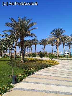 [P04] Hilton plaza hotel » foto by Ion alina
 - 
<span class="allrVoted glyphicon glyphicon-heart hidden" id="av1217261"></span>
<a class="m-l-10 hidden" id="sv1217261" onclick="voting_Foto_DelVot(,1217261,27)" role="button">șterge vot <span class="glyphicon glyphicon-remove"></span></a>
<a id="v91217261" class=" c-red"  onclick="voting_Foto_SetVot(1217261)" role="button"><span class="glyphicon glyphicon-heart-empty"></span> <b>LIKE</b> = Votează poza</a> <img class="hidden"  id="f1217261W9" src="/imagini/loader.gif" border="0" /><span class="AjErrMes hidden" id="e1217261ErM"></span>