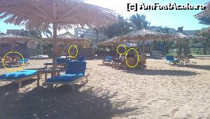 [P06] Plaja goala sau cu oameni infofoliti/imbracati » foto by carevede
 - 
<span class="allrVoted glyphicon glyphicon-heart hidden" id="av584643"></span>
<a class="m-l-10 hidden" id="sv584643" onclick="voting_Foto_DelVot(,584643,27)" role="button">șterge vot <span class="glyphicon glyphicon-remove"></span></a>
<a id="v9584643" class=" c-red"  onclick="voting_Foto_SetVot(584643)" role="button"><span class="glyphicon glyphicon-heart-empty"></span> <b>LIKE</b> = Votează poza</a> <img class="hidden"  id="f584643W9" src="/imagini/loader.gif" border="0" /><span class="AjErrMes hidden" id="e584643ErM"></span>
