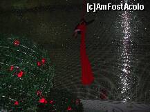 [P64]  -- <small>// FĂRĂ DESCRIERE</small> » foto by DIXIE
 - 
<span class="allrVoted glyphicon glyphicon-heart hidden" id="av127669"></span>
<a class="m-l-10 hidden" id="sv127669" onclick="voting_Foto_DelVot(,127669,3)" role="button">șterge vot <span class="glyphicon glyphicon-remove"></span></a>
<a id="v9127669" class=" c-red"  onclick="voting_Foto_SetVot(127669)" role="button"><span class="glyphicon glyphicon-heart-empty"></span> <b>LIKE</b> = Votează poza</a> <img class="hidden"  id="f127669W9" src="/imagini/loader.gif" border="0" /><span class="AjErrMes hidden" id="e127669ErM"></span>