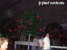 [P68]  -- <small>// FĂRĂ DESCRIERE</small> » foto by DIXIE
 - 
<span class="allrVoted glyphicon glyphicon-heart hidden" id="av127677"></span>
<a class="m-l-10 hidden" id="sv127677" onclick="voting_Foto_DelVot(,127677,3)" role="button">șterge vot <span class="glyphicon glyphicon-remove"></span></a>
<a id="v9127677" class=" c-red"  onclick="voting_Foto_SetVot(127677)" role="button"><span class="glyphicon glyphicon-heart-empty"></span> <b>LIKE</b> = Votează poza</a> <img class="hidden"  id="f127677W9" src="/imagini/loader.gif" border="0" /><span class="AjErrMes hidden" id="e127677ErM"></span>