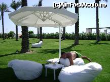 [P02] Gradina de jos a hotelului unde se organizeaza petreceri si gratare!!!!! » foto by romantic
 - 
<span class="allrVoted glyphicon glyphicon-heart hidden" id="av220160"></span>
<a class="m-l-10 hidden" id="sv220160" onclick="voting_Foto_DelVot(,220160,3)" role="button">șterge vot <span class="glyphicon glyphicon-remove"></span></a>
<a id="v9220160" class=" c-red"  onclick="voting_Foto_SetVot(220160)" role="button"><span class="glyphicon glyphicon-heart-empty"></span> <b>LIKE</b> = Votează poza</a> <img class="hidden"  id="f220160W9" src="/imagini/loader.gif" border="0" /><span class="AjErrMes hidden" id="e220160ErM"></span>