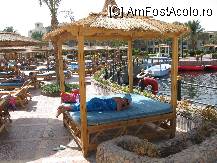 [P34] baldachinul meu preferat de la piscina » foto by macra dorina*
 - 
<span class="allrVoted glyphicon glyphicon-heart hidden" id="av95205"></span>
<a class="m-l-10 hidden" id="sv95205" onclick="voting_Foto_DelVot(,95205,30)" role="button">șterge vot <span class="glyphicon glyphicon-remove"></span></a>
<a id="v995205" class=" c-red"  onclick="voting_Foto_SetVot(95205)" role="button"><span class="glyphicon glyphicon-heart-empty"></span> <b>LIKE</b> = Votează poza</a> <img class="hidden"  id="f95205W9" src="/imagini/loader.gif" border="0" /><span class="AjErrMes hidden" id="e95205ErM"></span>