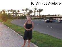[P41] in fata hotelului » foto by macra dorina*
 - 
<span class="allrVoted glyphicon glyphicon-heart hidden" id="av95214"></span>
<a class="m-l-10 hidden" id="sv95214" onclick="voting_Foto_DelVot(,95214,30)" role="button">șterge vot <span class="glyphicon glyphicon-remove"></span></a>
<a id="v995214" class=" c-red"  onclick="voting_Foto_SetVot(95214)" role="button"><span class="glyphicon glyphicon-heart-empty"></span> <b>LIKE</b> = Votează poza</a> <img class="hidden"  id="f95214W9" src="/imagini/loader.gif" border="0" /><span class="AjErrMes hidden" id="e95214ErM"></span>