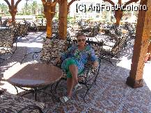 [P69] terasa de la island bar » foto by macra dorina*
 - 
<span class="allrVoted glyphicon glyphicon-heart hidden" id="av95273"></span>
<a class="m-l-10 hidden" id="sv95273" onclick="voting_Foto_DelVot(,95273,30)" role="button">șterge vot <span class="glyphicon glyphicon-remove"></span></a>
<a id="v995273" class=" c-red"  onclick="voting_Foto_SetVot(95273)" role="button"><span class="glyphicon glyphicon-heart-empty"></span> <b>LIKE</b> = Votează poza</a> <img class="hidden"  id="f95273W9" src="/imagini/loader.gif" border="0" /><span class="AjErrMes hidden" id="e95273ErM"></span>