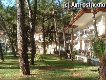 [P01] Gradina cu bungalow-uri » foto by gabhip
 - 
<span class="allrVoted glyphicon glyphicon-heart hidden" id="av597"></span>
<a class="m-l-10 hidden" id="sv597" onclick="voting_Foto_DelVot(,597,304)" role="button">șterge vot <span class="glyphicon glyphicon-remove"></span></a>
<a id="v9597" class=" c-red"  onclick="voting_Foto_SetVot(597)" role="button"><span class="glyphicon glyphicon-heart-empty"></span> <b>LIKE</b> = Votează poza</a> <img class="hidden"  id="f597W9" src="/imagini/loader.gif" border="0" /><span class="AjErrMes hidden" id="e597ErM"></span>