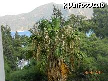 [P05] Vedere din camera spre mare si spre Insula Paradisului. » foto by garcia
 - 
<span class="allrVoted glyphicon glyphicon-heart hidden" id="av267323"></span>
<a class="m-l-10 hidden" id="sv267323" onclick="voting_Foto_DelVot(,267323,304)" role="button">șterge vot <span class="glyphicon glyphicon-remove"></span></a>
<a id="v9267323" class=" c-red"  onclick="voting_Foto_SetVot(267323)" role="button"><span class="glyphicon glyphicon-heart-empty"></span> <b>LIKE</b> = Votează poza</a> <img class="hidden"  id="f267323W9" src="/imagini/loader.gif" border="0" /><span class="AjErrMes hidden" id="e267323ErM"></span>