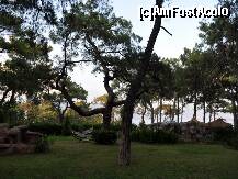 [P08] Zona de relaxare » foto by SebCom
 - 
<span class="allrVoted glyphicon glyphicon-heart hidden" id="av216119"></span>
<a class="m-l-10 hidden" id="sv216119" onclick="voting_Foto_DelVot(,216119,304)" role="button">șterge vot <span class="glyphicon glyphicon-remove"></span></a>
<a id="v9216119" class=" c-red"  onclick="voting_Foto_SetVot(216119)" role="button"><span class="glyphicon glyphicon-heart-empty"></span> <b>LIKE</b> = Votează poza</a> <img class="hidden"  id="f216119W9" src="/imagini/loader.gif" border="0" /><span class="AjErrMes hidden" id="e216119ErM"></span>