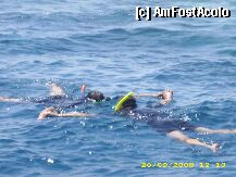 [P10] Snorkeling » foto by sylstgluck
 - 
<span class="allrVoted glyphicon glyphicon-heart hidden" id="av4249"></span>
<a class="m-l-10 hidden" id="sv4249" onclick="voting_Foto_DelVot(,4249,307)" role="button">șterge vot <span class="glyphicon glyphicon-remove"></span></a>
<a id="v94249" class=" c-red"  onclick="voting_Foto_SetVot(4249)" role="button"><span class="glyphicon glyphicon-heart-empty"></span> <b>LIKE</b> = Votează poza</a> <img class="hidden"  id="f4249W9" src="/imagini/loader.gif" border="0" /><span class="AjErrMes hidden" id="e4249ErM"></span>