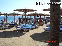 [P06] O parte de plaja » foto by sylstgluck
 - 
<span class="allrVoted glyphicon glyphicon-heart hidden" id="av4229"></span>
<a class="m-l-10 hidden" id="sv4229" onclick="voting_Foto_DelVot(,4229,307)" role="button">șterge vot <span class="glyphicon glyphicon-remove"></span></a>
<a id="v94229" class=" c-red"  onclick="voting_Foto_SetVot(4229)" role="button"><span class="glyphicon glyphicon-heart-empty"></span> <b>LIKE</b> = Votează poza</a> <img class="hidden"  id="f4229W9" src="/imagini/loader.gif" border="0" /><span class="AjErrMes hidden" id="e4229ErM"></span>