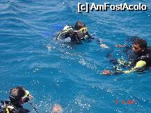 [P04] la diving » foto by indiralisa_26
 - 
<span class="allrVoted glyphicon glyphicon-heart hidden" id="av1329"></span>
<a class="m-l-10 hidden" id="sv1329" onclick="voting_Foto_DelVot(,1329,308)" role="button">șterge vot <span class="glyphicon glyphicon-remove"></span></a>
<a id="v91329" class=" c-red"  onclick="voting_Foto_SetVot(1329)" role="button"><span class="glyphicon glyphicon-heart-empty"></span> <b>LIKE</b> = Votează poza</a> <img class="hidden"  id="f1329W9" src="/imagini/loader.gif" border="0" /><span class="AjErrMes hidden" id="e1329ErM"></span>