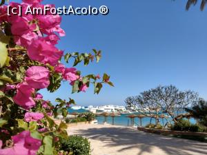 [P07] O privire spre mare de lângă frumoasele bouganvillea. » foto by maryka
 - 
<span class="allrVoted glyphicon glyphicon-heart hidden" id="av1221596"></span>
<a class="m-l-10 hidden" id="sv1221596" onclick="voting_Foto_DelVot(,1221596,31)" role="button">șterge vot <span class="glyphicon glyphicon-remove"></span></a>
<a id="v91221596" class=" c-red"  onclick="voting_Foto_SetVot(1221596)" role="button"><span class="glyphicon glyphicon-heart-empty"></span> <b>LIKE</b> = Votează poza</a> <img class="hidden"  id="f1221596W9" src="/imagini/loader.gif" border="0" /><span class="AjErrMes hidden" id="e1221596ErM"></span>