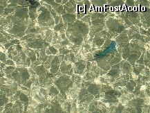 [P12]  -- <small>// FĂRĂ DESCRIERE</small> » foto by gabitza76
 - 
<span class="allrVoted glyphicon glyphicon-heart hidden" id="av3444"></span>
<a class="m-l-10 hidden" id="sv3444" onclick="voting_Foto_DelVot(,3444,336)" role="button">șterge vot <span class="glyphicon glyphicon-remove"></span></a>
<a id="v93444" class=" c-red"  onclick="voting_Foto_SetVot(3444)" role="button"><span class="glyphicon glyphicon-heart-empty"></span> <b>LIKE</b> = Votează poza</a> <img class="hidden"  id="f3444W9" src="/imagini/loader.gif" border="0" /><span class="AjErrMes hidden" id="e3444ErM"></span>