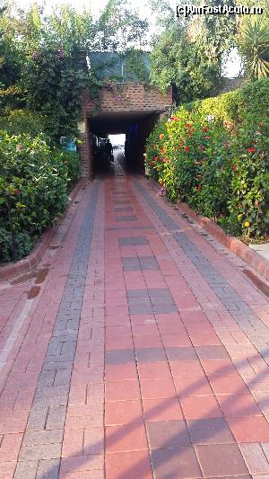 [P08] Trecerea prin tunel spre plaja » foto by mmunteanu
 - 
<span class="allrVoted glyphicon glyphicon-heart hidden" id="av669462"></span>
<a class="m-l-10 hidden" id="sv669462" onclick="voting_Foto_DelVot(,669462,348)" role="button">șterge vot <span class="glyphicon glyphicon-remove"></span></a>
<a id="v9669462" class=" c-red"  onclick="voting_Foto_SetVot(669462)" role="button"><span class="glyphicon glyphicon-heart-empty"></span> <b>LIKE</b> = Votează poza</a> <img class="hidden"  id="f669462W9" src="/imagini/loader.gif" border="0" /><span class="AjErrMes hidden" id="e669462ErM"></span>