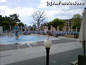 [P11]  -- <small>// FĂRĂ DESCRIERE</small> » foto by xray5483
 - 
<span class="allrVoted glyphicon glyphicon-heart hidden" id="av501449"></span>
<a class="m-l-10 hidden" id="sv501449" onclick="voting_Foto_DelVot(,501449,349)" role="button">șterge vot <span class="glyphicon glyphicon-remove"></span></a>
<a id="v9501449" class=" c-red"  onclick="voting_Foto_SetVot(501449)" role="button"><span class="glyphicon glyphicon-heart-empty"></span> <b>LIKE</b> = Votează poza</a> <img class="hidden"  id="f501449W9" src="/imagini/loader.gif" border="0" /><span class="AjErrMes hidden" id="e501449ErM"></span>