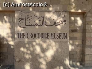 [P18] Kom Ombu- Crocodile Museum » foto by Yersinia Pestis
 - 
<span class="allrVoted glyphicon glyphicon-heart hidden" id="av1486307"></span>
<a class="m-l-10 hidden" id="sv1486307" onclick="voting_Foto_DelVot(,1486307,351)" role="button">șterge vot <span class="glyphicon glyphicon-remove"></span></a>
<a id="v91486307" class=" c-red"  onclick="voting_Foto_SetVot(1486307)" role="button"><span class="glyphicon glyphicon-heart-empty"></span> <b>LIKE</b> = Votează poza</a> <img class="hidden"  id="f1486307W9" src="/imagini/loader.gif" border="0" /><span class="AjErrMes hidden" id="e1486307ErM"></span>