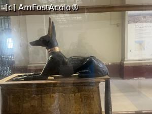 [P15] Cairo-Muzeul Egiptean » foto by Yersinia Pestis
 - 
<span class="allrVoted glyphicon glyphicon-heart hidden" id="av1487108"></span>
<a class="m-l-10 hidden" id="sv1487108" onclick="voting_Foto_DelVot(,1487108,351)" role="button">șterge vot <span class="glyphicon glyphicon-remove"></span></a>
<a id="v91487108" class=" c-red"  onclick="voting_Foto_SetVot(1487108)" role="button"><span class="glyphicon glyphicon-heart-empty"></span> <b>LIKE</b> = Votează poza</a> <img class="hidden"  id="f1487108W9" src="/imagini/loader.gif" border="0" /><span class="AjErrMes hidden" id="e1487108ErM"></span>