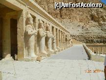 [P20] Toate statuile o reprezinta pe Hatchepsut » foto by Pușcașu Marin
 - 
<span class="allrVoted glyphicon glyphicon-heart hidden" id="av385319"></span>
<a class="m-l-10 hidden" id="sv385319" onclick="voting_Foto_DelVot(,385319,351)" role="button">șterge vot <span class="glyphicon glyphicon-remove"></span></a>
<a id="v9385319" class=" c-red"  onclick="voting_Foto_SetVot(385319)" role="button"><span class="glyphicon glyphicon-heart-empty"></span> <b>LIKE</b> = Votează poza</a> <img class="hidden"  id="f385319W9" src="/imagini/loader.gif" border="0" /><span class="AjErrMes hidden" id="e385319ErM"></span>