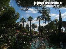 [P03] piscina Cleopatrei - Pamukkale » foto by A.E.N
 - 
<span class="allrVoted glyphicon glyphicon-heart hidden" id="av156801"></span>
<a class="m-l-10 hidden" id="sv156801" onclick="voting_Foto_DelVot(,156801,359)" role="button">șterge vot <span class="glyphicon glyphicon-remove"></span></a>
<a id="v9156801" class=" c-red"  onclick="voting_Foto_SetVot(156801)" role="button"><span class="glyphicon glyphicon-heart-empty"></span> <b>LIKE</b> = Votează poza</a> <img class="hidden"  id="f156801W9" src="/imagini/loader.gif" border="0" /><span class="AjErrMes hidden" id="e156801ErM"></span>