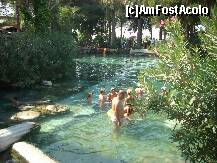 [P07] Piscina Cleopatrei-Pamukale » foto by apodgorean
 - 
<span class="allrVoted glyphicon glyphicon-heart hidden" id="av257050"></span>
<a class="m-l-10 hidden" id="sv257050" onclick="voting_Foto_DelVot(,257050,359)" role="button">șterge vot <span class="glyphicon glyphicon-remove"></span></a>
<a id="v9257050" class=" c-red"  onclick="voting_Foto_SetVot(257050)" role="button"><span class="glyphicon glyphicon-heart-empty"></span> <b>LIKE</b> = Votează poza</a> <img class="hidden"  id="f257050W9" src="/imagini/loader.gif" border="0" /><span class="AjErrMes hidden" id="e257050ErM"></span>