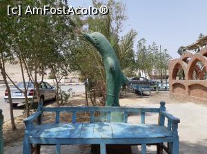 [P10] Tea break in Hamrawein - El Quseir » foto by sorin narcis
 - 
<span class="allrVoted glyphicon glyphicon-heart hidden" id="av1013195"></span>
<a class="m-l-10 hidden" id="sv1013195" onclick="voting_Foto_DelVot(,1013195,36)" role="button">șterge vot <span class="glyphicon glyphicon-remove"></span></a>
<a id="v91013195" class=" c-red"  onclick="voting_Foto_SetVot(1013195)" role="button"><span class="glyphicon glyphicon-heart-empty"></span> <b>LIKE</b> = Votează poza</a> <img class="hidden"  id="f1013195W9" src="/imagini/loader.gif" border="0" /><span class="AjErrMes hidden" id="e1013195ErM"></span>