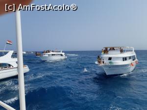 [P05] Following the dolphins around the reefs, on Hurghada coast » foto by sorin narcis
 - 
<span class="allrVoted glyphicon glyphicon-heart hidden" id="av1013183"></span>
<a class="m-l-10 hidden" id="sv1013183" onclick="voting_Foto_DelVot(,1013183,36)" role="button">șterge vot <span class="glyphicon glyphicon-remove"></span></a>
<a id="v91013183" class=" c-red"  onclick="voting_Foto_SetVot(1013183)" role="button"><span class="glyphicon glyphicon-heart-empty"></span> <b>LIKE</b> = Votează poza</a> <img class="hidden"  id="f1013183W9" src="/imagini/loader.gif" border="0" /><span class="AjErrMes hidden" id="e1013183ErM"></span>
