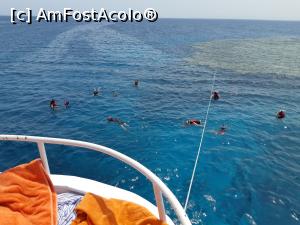 [P06] Swimming near the coral reef » foto by sorin narcis
 - 
<span class="allrVoted glyphicon glyphicon-heart hidden" id="av1013184"></span>
<a class="m-l-10 hidden" id="sv1013184" onclick="voting_Foto_DelVot(,1013184,36)" role="button">șterge vot <span class="glyphicon glyphicon-remove"></span></a>
<a id="v91013184" class=" c-red"  onclick="voting_Foto_SetVot(1013184)" role="button"><span class="glyphicon glyphicon-heart-empty"></span> <b>LIKE</b> = Votează poza</a> <img class="hidden"  id="f1013184W9" src="/imagini/loader.gif" border="0" /><span class="AjErrMes hidden" id="e1013184ErM"></span>