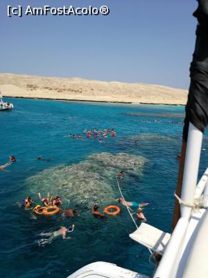 [P23] Aglomerație la snorkeling » foto by fra
 - 
<span class="allrVoted glyphicon glyphicon-heart hidden" id="av1022552"></span>
<a class="m-l-10 hidden" id="sv1022552" onclick="voting_Foto_DelVot(,1022552,36)" role="button">șterge vot <span class="glyphicon glyphicon-remove"></span></a>
<a id="v91022552" class=" c-red"  onclick="voting_Foto_SetVot(1022552)" role="button"><span class="glyphicon glyphicon-heart-empty"></span> <b>LIKE</b> = Votează poza</a> <img class="hidden"  id="f1022552W9" src="/imagini/loader.gif" border="0" /><span class="AjErrMes hidden" id="e1022552ErM"></span>