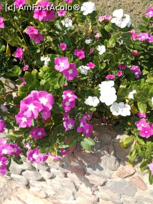 [P03] Dovada că resortul este bine întreținut » foto by fra
 - 
<span class="allrVoted glyphicon glyphicon-heart hidden" id="av1022532"></span>
<a class="m-l-10 hidden" id="sv1022532" onclick="voting_Foto_DelVot(,1022532,36)" role="button">șterge vot <span class="glyphicon glyphicon-remove"></span></a>
<a id="v91022532" class=" c-red"  onclick="voting_Foto_SetVot(1022532)" role="button"><span class="glyphicon glyphicon-heart-empty"></span> <b>LIKE</b> = Votează poza</a> <img class="hidden"  id="f1022532W9" src="/imagini/loader.gif" border="0" /><span class="AjErrMes hidden" id="e1022532ErM"></span>