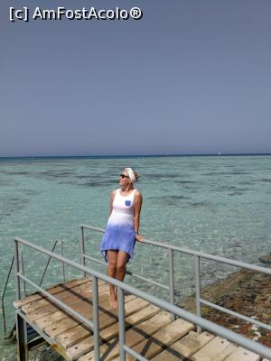 [P43] Nu țin eu să apar in poze, dar aici se văd cel mai bine 'pâlcurile' de corali in apă foarte mică » foto by fra
 - 
<span class="allrVoted glyphicon glyphicon-heart hidden" id="av1022572"></span>
<a class="m-l-10 hidden" id="sv1022572" onclick="voting_Foto_DelVot(,1022572,36)" role="button">șterge vot <span class="glyphicon glyphicon-remove"></span></a>
<a id="v91022572" class=" c-red"  onclick="voting_Foto_SetVot(1022572)" role="button"><span class="glyphicon glyphicon-heart-empty"></span> <b>LIKE</b> = Votează poza</a> <img class="hidden"  id="f1022572W9" src="/imagini/loader.gif" border="0" /><span class="AjErrMes hidden" id="e1022572ErM"></span>