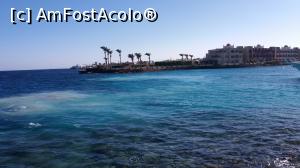 [P13] minunatele culori ale marii » foto by elenaadina
 - 
<span class="allrVoted glyphicon glyphicon-heart hidden" id="av955605"></span>
<a class="m-l-10 hidden" id="sv955605" onclick="voting_Foto_DelVot(,955605,36)" role="button">șterge vot <span class="glyphicon glyphicon-remove"></span></a>
<a id="v9955605" class=" c-red"  onclick="voting_Foto_SetVot(955605)" role="button"><span class="glyphicon glyphicon-heart-empty"></span> <b>LIKE</b> = Votează poza</a> <img class="hidden"  id="f955605W9" src="/imagini/loader.gif" border="0" /><span class="AjErrMes hidden" id="e955605ErM"></span>