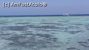 [P06] in mare este nisip si pilcuri de corali cu pestisori » foto by elenaadina
 - 
<span class="allrVoted glyphicon glyphicon-heart hidden" id="av955589"></span>
<a class="m-l-10 hidden" id="sv955589" onclick="voting_Foto_DelVot(,955589,36)" role="button">șterge vot <span class="glyphicon glyphicon-remove"></span></a>
<a id="v9955589" class=" c-red"  onclick="voting_Foto_SetVot(955589)" role="button"><span class="glyphicon glyphicon-heart-empty"></span> <b>LIKE</b> = Votează poza</a> <img class="hidden"  id="f955589W9" src="/imagini/loader.gif" border="0" /><span class="AjErrMes hidden" id="e955589ErM"></span>