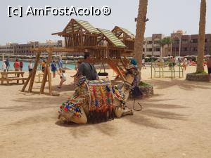 [P02] Loc de joacă pentru copii. Cămila Max care-i acolo pentru ședințe foto » foto by angela_tudose
 - 
<span class="allrVoted glyphicon glyphicon-heart hidden" id="av964776"></span>
<a class="m-l-10 hidden" id="sv964776" onclick="voting_Foto_DelVot(,964776,36)" role="button">șterge vot <span class="glyphicon glyphicon-remove"></span></a>
<a id="v9964776" class=" c-red"  onclick="voting_Foto_SetVot(964776)" role="button"><span class="glyphicon glyphicon-heart-empty"></span> <b>LIKE</b> = Votează poza</a> <img class="hidden"  id="f964776W9" src="/imagini/loader.gif" border="0" /><span class="AjErrMes hidden" id="e964776ErM"></span>