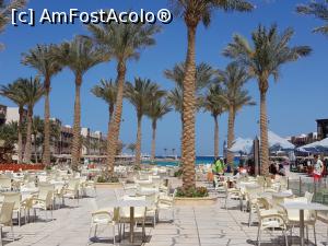 [P06]  -- <small>// FĂRĂ DESCRIERE</small> » foto by angela_tudose
 - 
<span class="allrVoted glyphicon glyphicon-heart hidden" id="av964780"></span>
<a class="m-l-10 hidden" id="sv964780" onclick="voting_Foto_DelVot(,964780,36)" role="button">șterge vot <span class="glyphicon glyphicon-remove"></span></a>
<a id="v9964780" class=" c-red"  onclick="voting_Foto_SetVot(964780)" role="button"><span class="glyphicon glyphicon-heart-empty"></span> <b>LIKE</b> = Votează poza</a> <img class="hidden"  id="f964780W9" src="/imagini/loader.gif" border="0" /><span class="AjErrMes hidden" id="e964780ErM"></span>