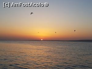 [P09] Răsarit de soare la malul Mării Roșii » foto by angela_tudose
 - 
<span class="allrVoted glyphicon glyphicon-heart hidden" id="av964783"></span>
<a class="m-l-10 hidden" id="sv964783" onclick="voting_Foto_DelVot(,964783,36)" role="button">șterge vot <span class="glyphicon glyphicon-remove"></span></a>
<a id="v9964783" class=" c-red"  onclick="voting_Foto_SetVot(964783)" role="button"><span class="glyphicon glyphicon-heart-empty"></span> <b>LIKE</b> = Votează poza</a> <img class="hidden"  id="f964783W9" src="/imagini/loader.gif" border="0" /><span class="AjErrMes hidden" id="e964783ErM"></span>